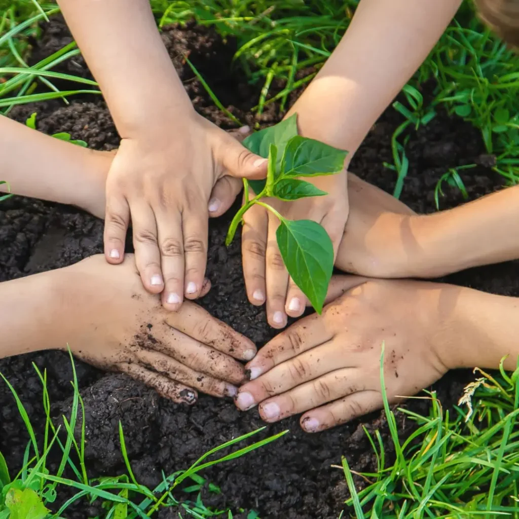 Mit Kindern im Garten