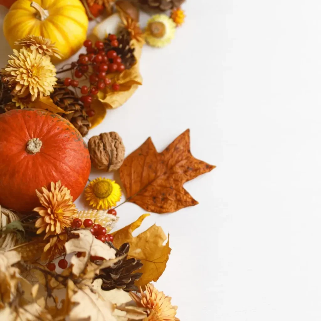 Garten Herbst