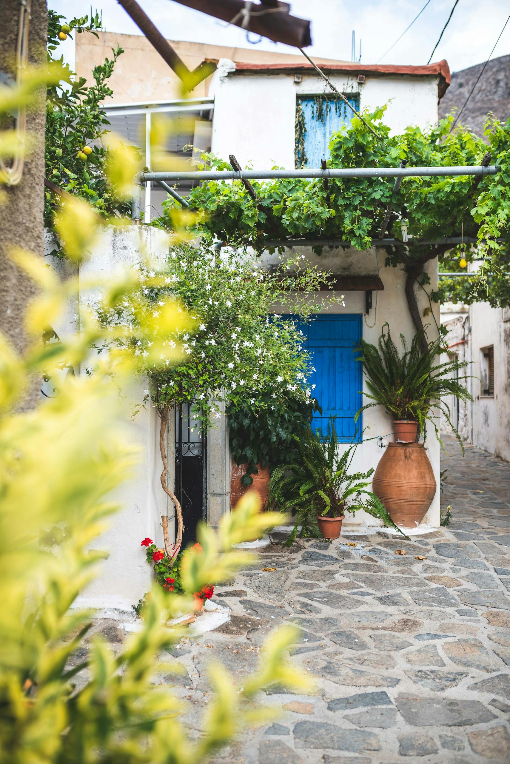 A picturesque Mediterranean alley with vibrant plants and traditional architecture.