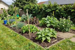 Ich habe meinen Garten neu eingerichtet – das Ergebnis ist unglaublich